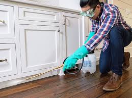 Best Pest Prevention Services  in Old Forge, PA